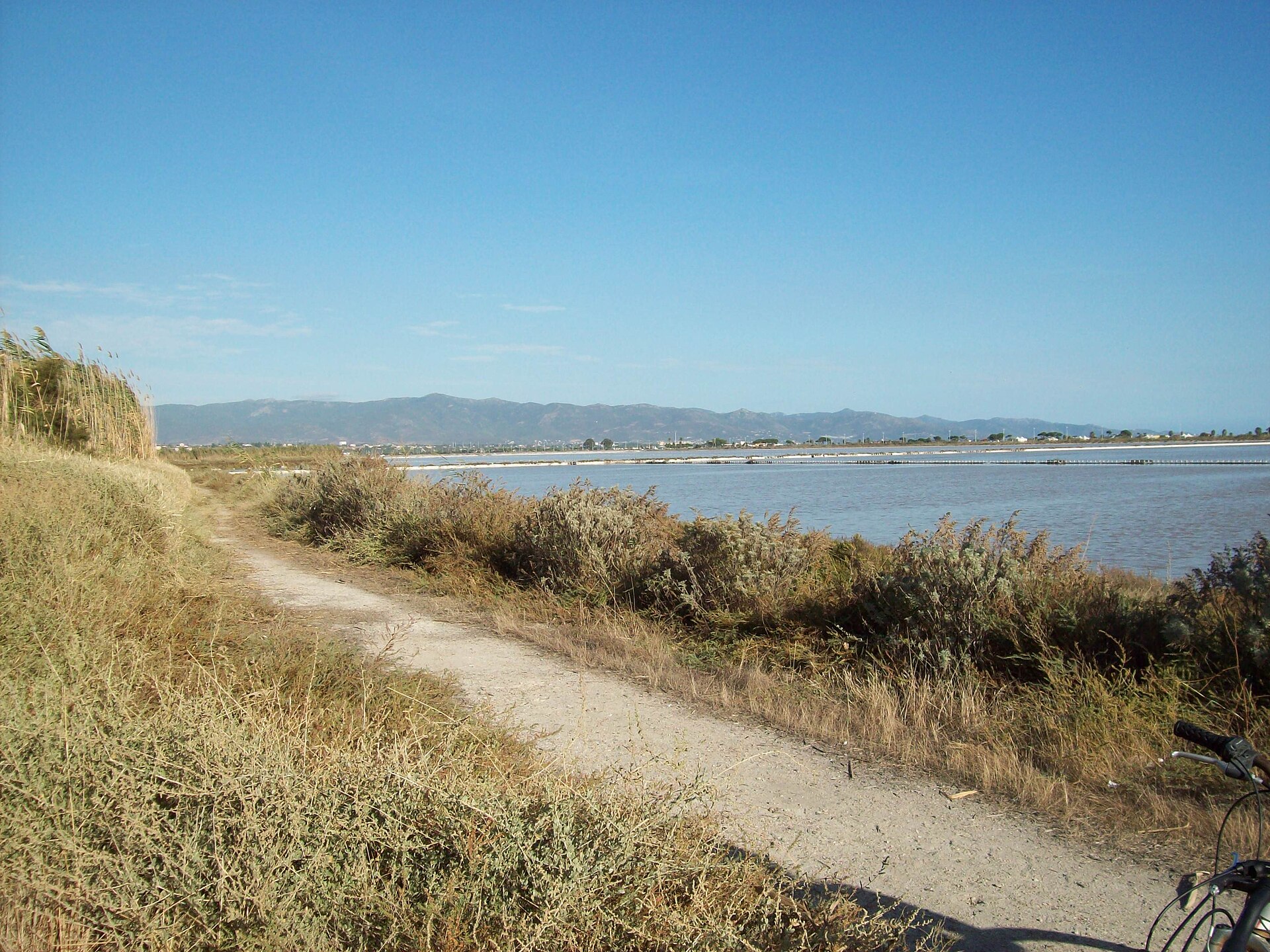 Molentargius lagoon wildlife near Cagliari cruise port