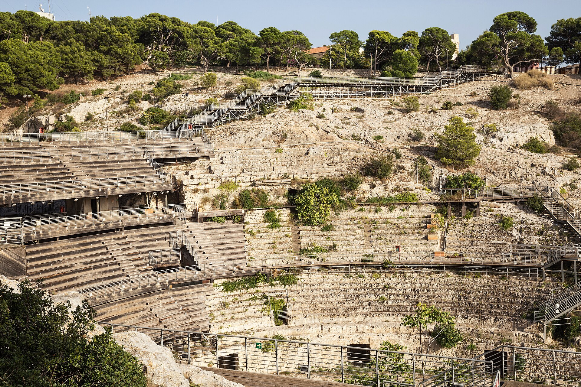 Sardinian Cannonau wine tasting in the Campidano